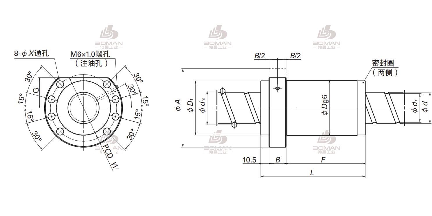 BSS4012-5E-BSS标准系列丝杠