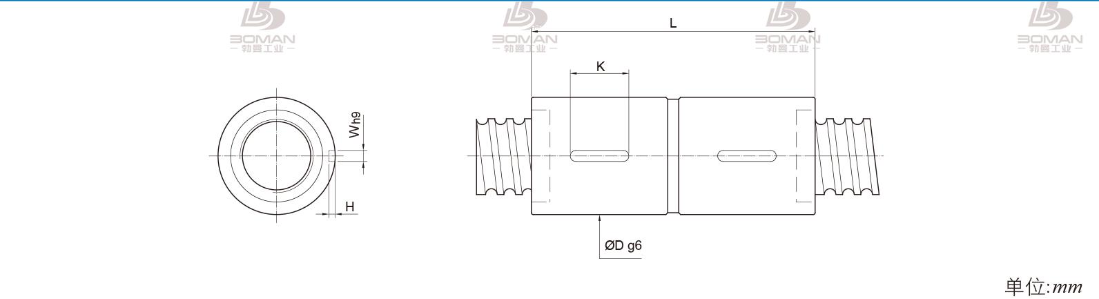 PMI RDIC10020-5 PMI丝杠是什么品牌