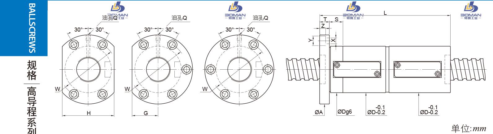 PMI FDWE6316-5 PMI丝杠3D